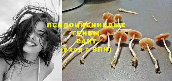 каннабис Арсеньев