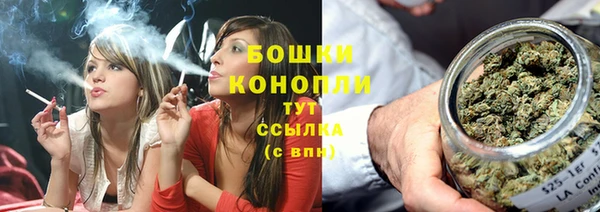 молекула духа Аркадак